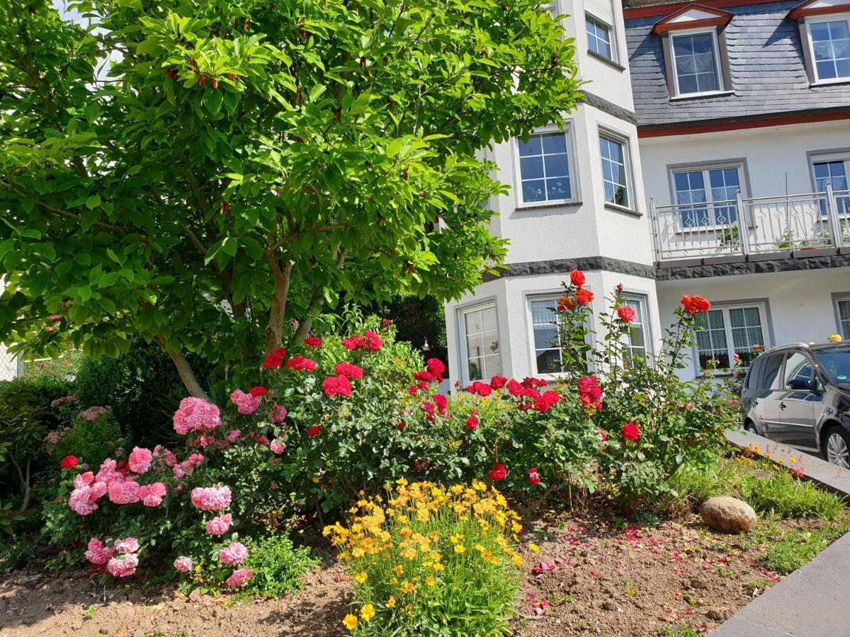 Ferienwohnung Thoennes Müden Dış mekan fotoğraf